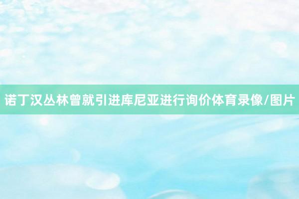 诺丁汉丛林曾就引进库尼亚进行询价体育录像/图片