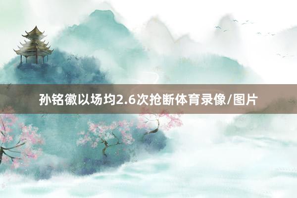孙铭徽以场均2.6次抢断体育录像/图片