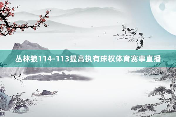 丛林狼114-113提高执有球权体育赛事直播