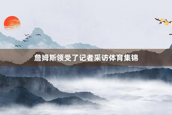詹姆斯领受了记者采访体育集锦