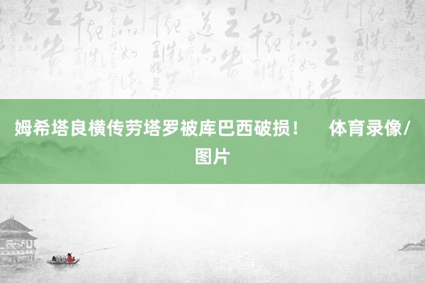 姆希塔良横传劳塔罗被库巴西破损！    体育录像/图片