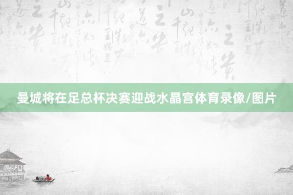 曼城将在足总杯决赛迎战水晶宫体育录像/图片