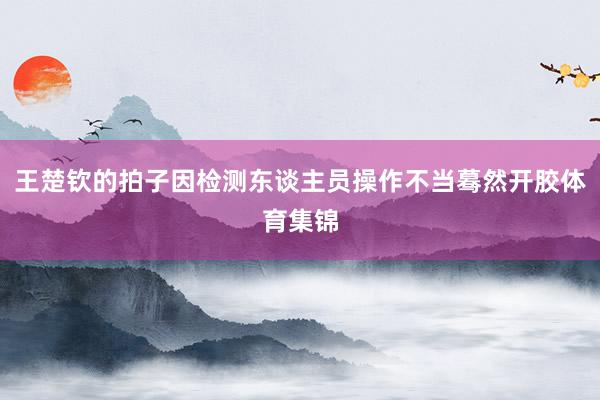 王楚钦的拍子因检测东谈主员操作不当蓦然开胶体育集锦