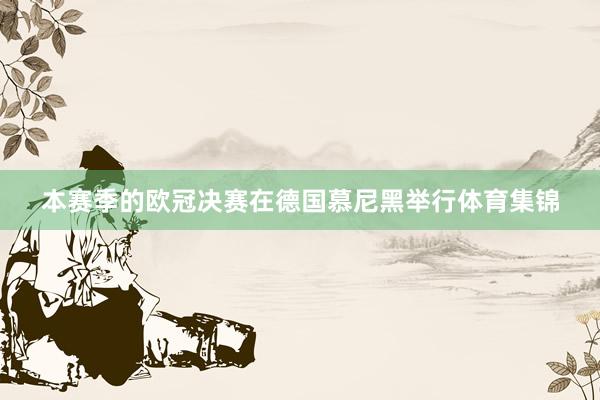 本赛季的欧冠决赛在德国慕尼黑举行体育集锦