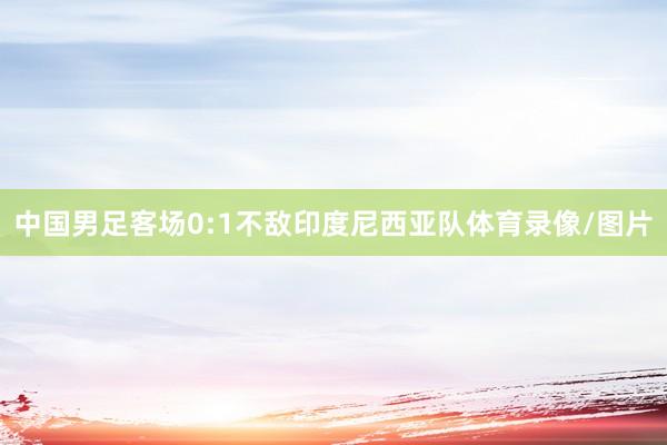 中国男足客场0:1不敌印度尼西亚队体育录像/图片