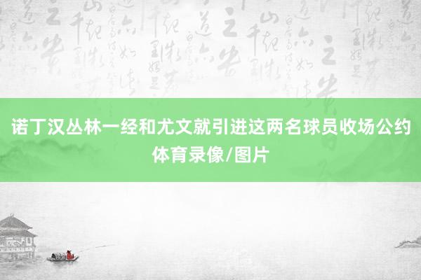 诺丁汉丛林一经和尤文就引进这两名球员收场公约体育录像/图片