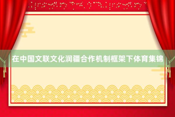 在中国文联文化润疆合作机制框架下体育集锦
