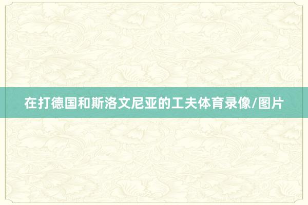 在打德国和斯洛文尼亚的工夫体育录像/图片