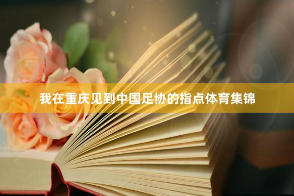 我在重庆见到中国足协的指点体育集锦