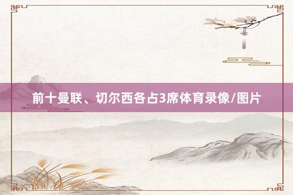 前十曼联、切尔西各占3席体育录像/图片