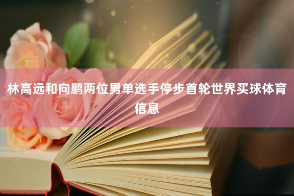 林高远和向鹏两位男单选手停步首轮世界买球体育信息