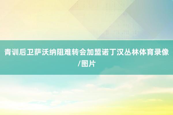 青训后卫萨沃纳阻难转会加盟诺丁汉丛林体育录像/图片