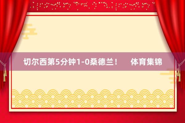切尔西第5分钟1-0桑德兰！    体育集锦
