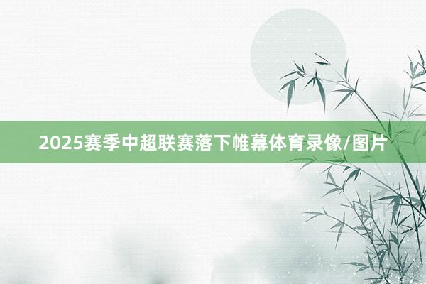 2025赛季中超联赛落下帷幕体育录像/图片