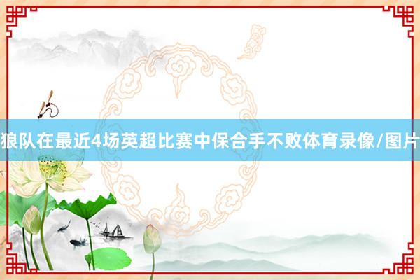 狼队在最近4场英超比赛中保合手不败体育录像/图片
