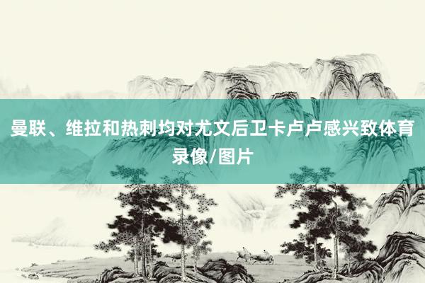 曼联、维拉和热刺均对尤文后卫卡卢卢感兴致体育录像/图片