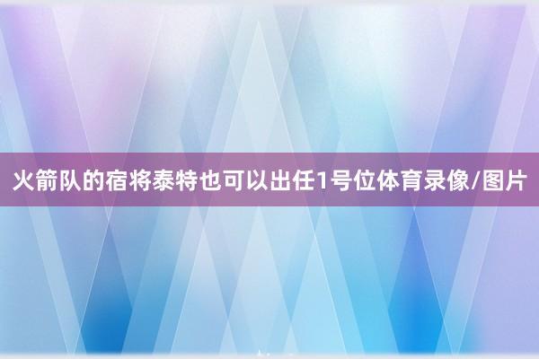 火箭队的宿将泰特也可以出任1号位体育录像/图片