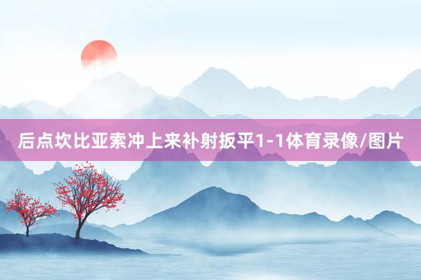 后点坎比亚索冲上来补射扳平1-1体育录像/图片