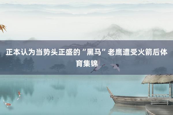正本认为当势头正盛的“黑马”老鹰遭受火箭后体育集锦
