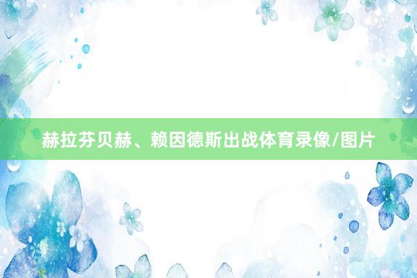 赫拉芬贝赫、赖因德斯出战体育录像/图片