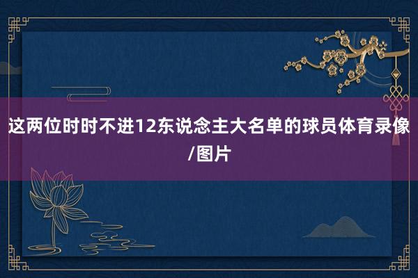 这两位时时不进12东说念主大名单的球员体育录像/图片