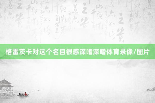 格雷茨卡对这个名目很感深嗜深嗜体育录像/图片
