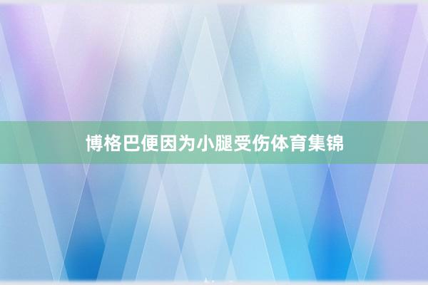 博格巴便因为小腿受伤体育集锦