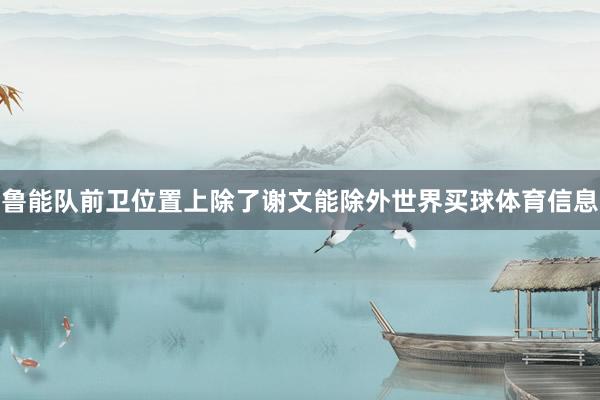 鲁能队前卫位置上除了谢文能除外世界买球体育信息