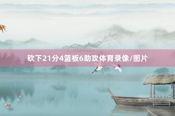 砍下21分4篮板6助攻体育录像/图片