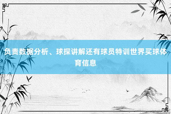 负责数据分析、球探讲解还有球员特训世界买球体育信息