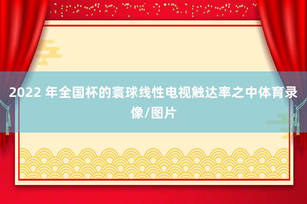 2022 年全国杯的寰球线性电视触达率之中体育录像/图片