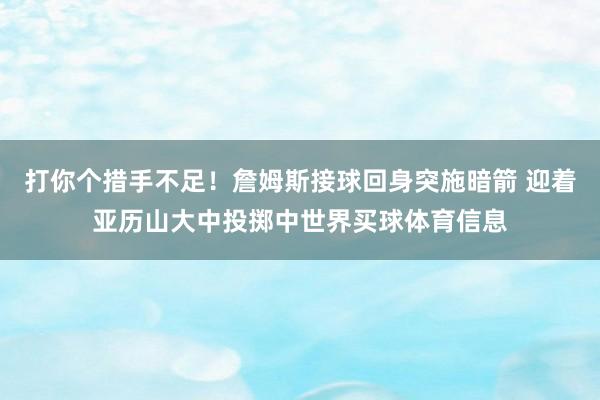 打你个措手不足！詹姆斯接球回身突施暗箭 迎着亚历山大中投掷中世界买球体育信息