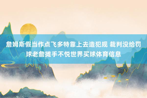 詹姆斯假当作点飞多特靠上去造犯规 裁判没给罚球老詹摊手不悦世界买球体育信息